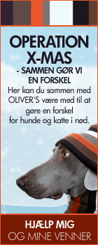 OPERATION X-MAS 2010